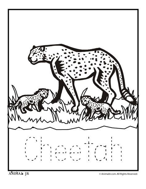 Zoo Animal Coloring Pages Baby Cheetah Woo Jr Kids Activities