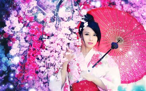 Japanese Geisha Wallpaper (68+ pictures) - WallpaperSet