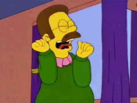 Ned Flanders Fangirling