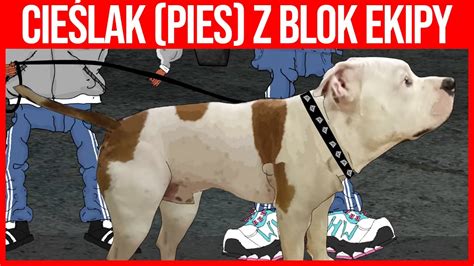 Blok Ekipa Cieślak Pies YouTube