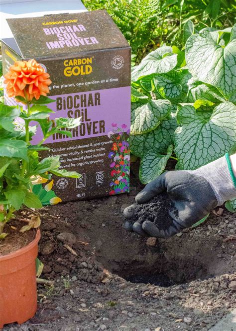 Review: Carbon Gold Biochar compost & soil improvers - Growing Family