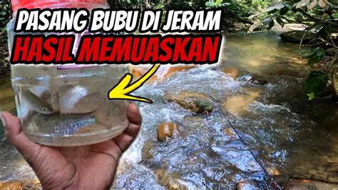 PASANG BUBU PAYUNG IKAN DI SUNGAI AD ANGLER YouTube