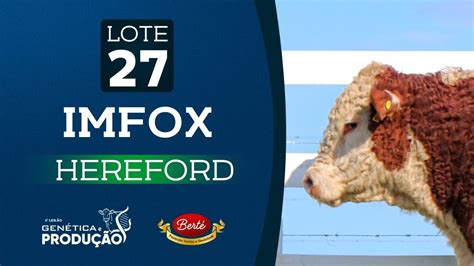 Lote 27 Imfox TOURO HEREFORD 5º Leilão Genética e Produção