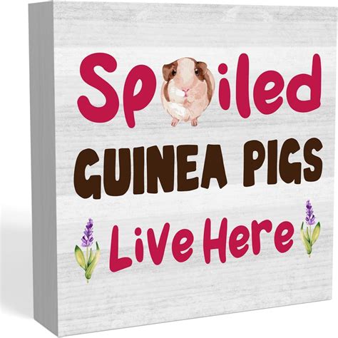 Amazon Zopedia Spoiled Guinea Pigs Live Here Cute Desk Decor Wood