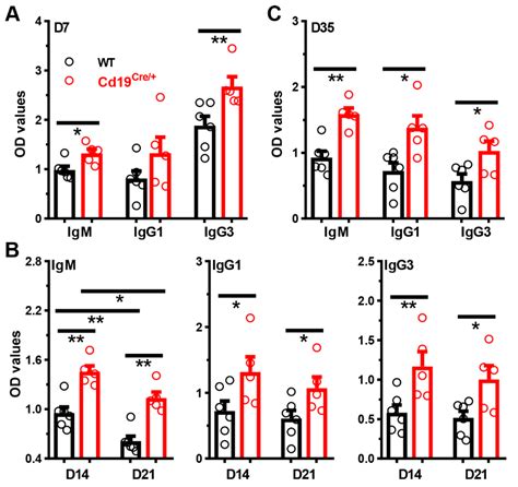 Cells Free Full Text Altered Phenotype And Enhanced Antibody