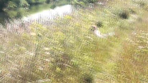 Naked Mommy MILF Sunbathing In Public Peeping On Wild B