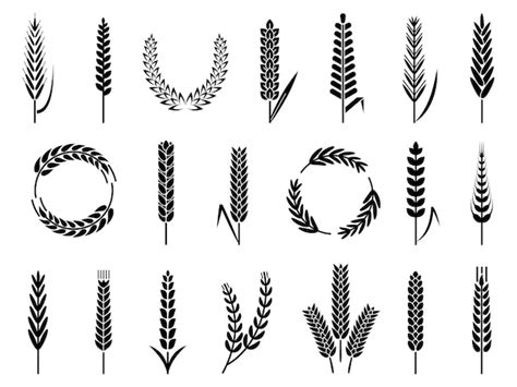 Wheat Element Images Free Download On Freepik