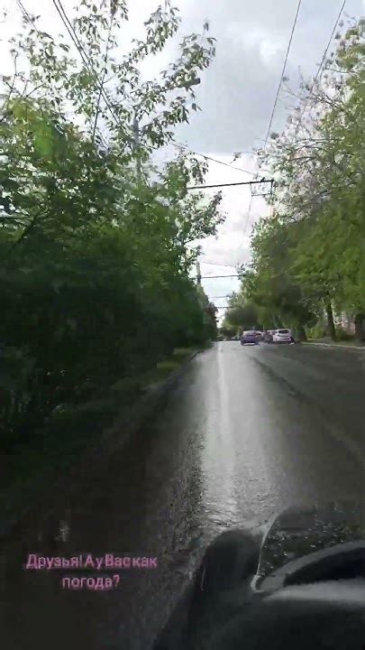 Весна. Сирень. Калуга #nirvana #rock #весна2024 #travel #калуга #music ...