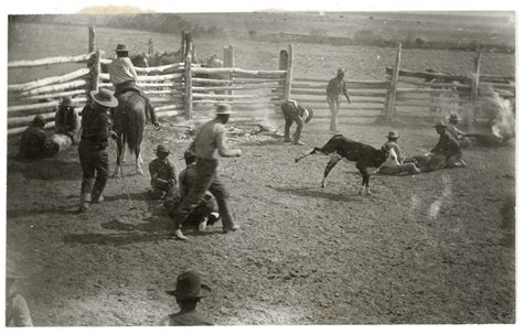 [branding Calves In A Corral] Montana History Portal