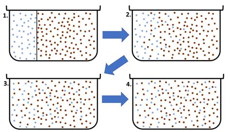 Diffusion - Key Stage Wiki