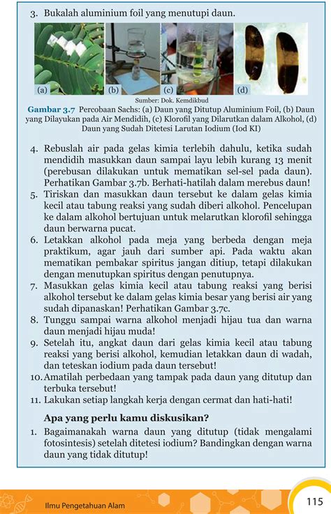 Ipa 8 Kd4 Struktur Dan Fungsi Akar Batang Daun Dan Bunga PDF