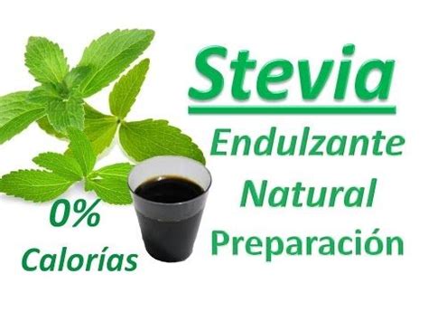 Cómo Hacer Stevia Casera Endulzante Sin Calorías Stevia Medicina