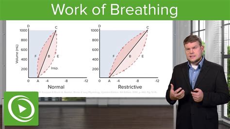 Work Of Breathing Breathing And Lung Mechanics Physiology Lecturio