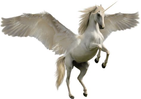 Download Fantasy Unicorn Png Png Image With No Background