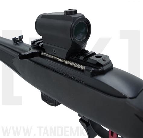 Ruger 1022 Scope Mounts Picatinny Rails By Eabco Volquartsen And More