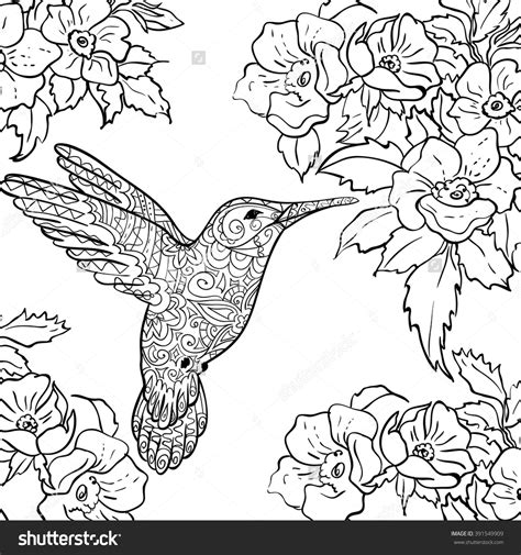 Hummingbird And Flower Coloring Pages At Free