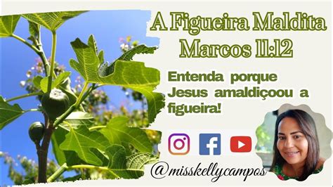 Porque A Figueira Foi Amaldiçoada Marcos1112 Youtube