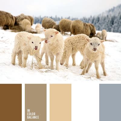 нежно-бежевый цвет | IN COLOR BALANCE