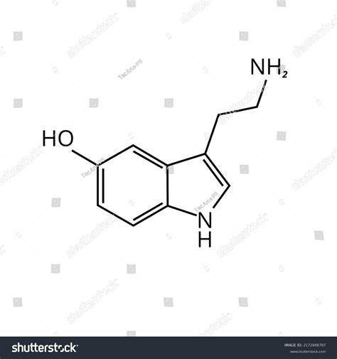 Vector Illustration Happiness Formula Serotonin Chemical Stock Vector