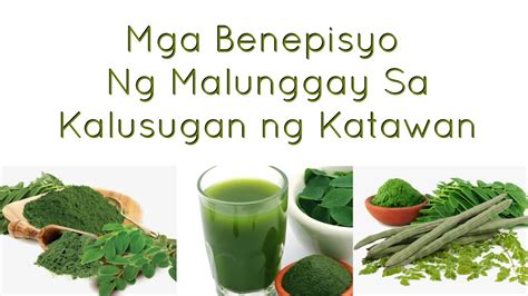 MGA BENEPISYO NG MALUNGGAY MALUNGGAY BENEFITS HEALTH BENEFITS OF