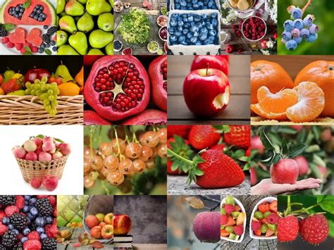A Complete Guide for Budgie Diet: Seeds, Grains, Pellets, Fruits ...