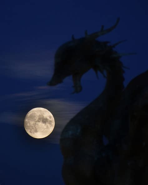 Полнолуния пост | Пикабу