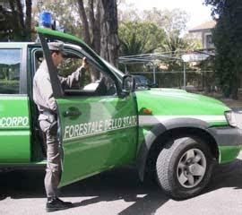 Cade Nella Scarpata Con L Auto Muore Un Forestale Live Sicilia