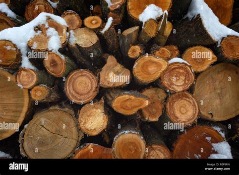 Faces Of Logs In Winter Woodpile Of Firewood Under Snow Abstract