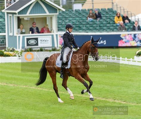 Image Elisabeth Halliday Sharp And DENIRO Z Dressage Land Rover