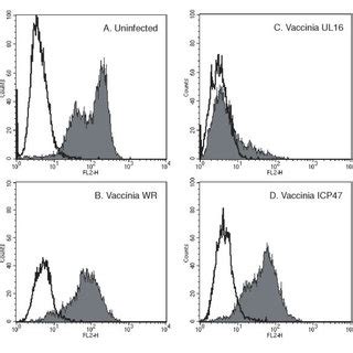 The expression of UL16 is sufficient to affect the surface expression ...