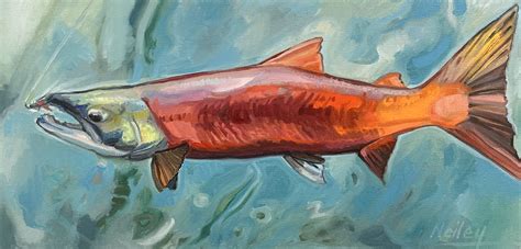 Sockeye