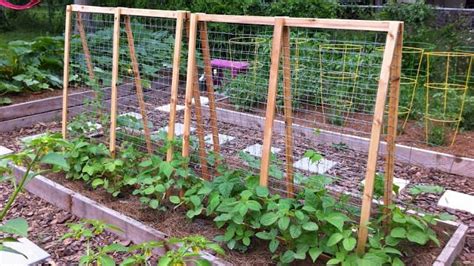 Successful Diy Trellis Ideas For Vegetables And Fruits Off