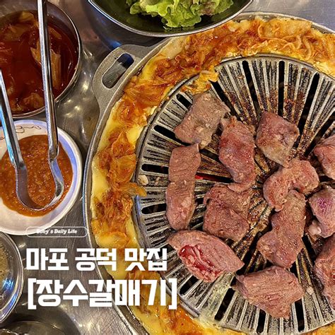 마포 맛집 공덕 갈매기 골목 맛집 장수갈매기 네이버 블로그