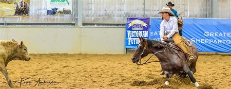 Ncha Victorian Futurity Select Sires