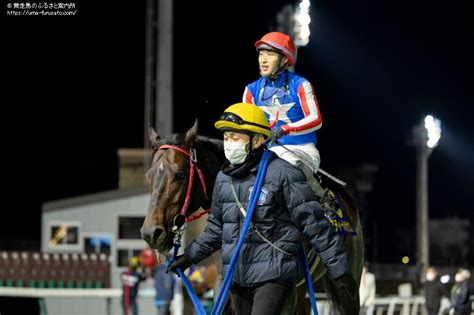 道営スプリントはスティールペガサスが重賞2連勝を飾る 馬産地ニュース 競走馬のふるさと案内所