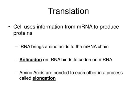 Ppt Transcription Vs Translation Powerpoint Presentation Free