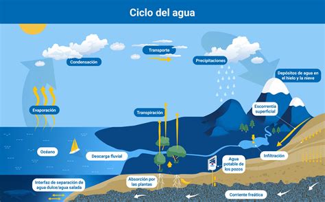 Ciclo Del Agua Completo