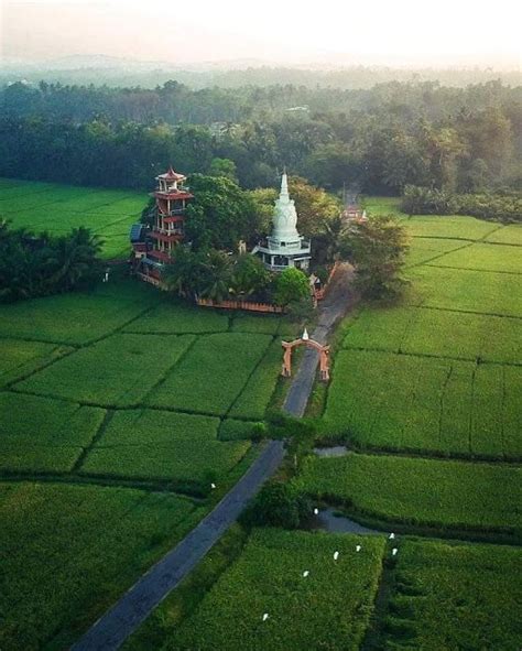 ලොව එකම පත්මාකාර චෛත්‍ය වහන්සේ පරමණාගල පන්සල ☸️🙏😇 Paramanagala