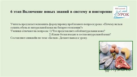 Презентация на тему: "Камаева Нина Григорьевна, учитель биологии МБОУ ...