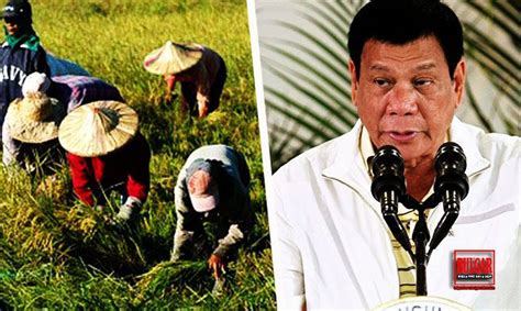 Mga Magsasaka Umaaray Rice Tariffication Law Tuloy P Digong