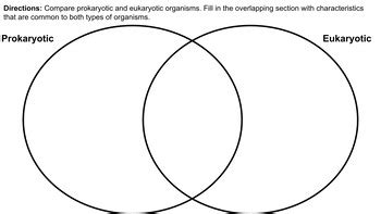 Prokaryotic Vs Eukaryotic VENN Diagram By Shorehaven Creations TPT