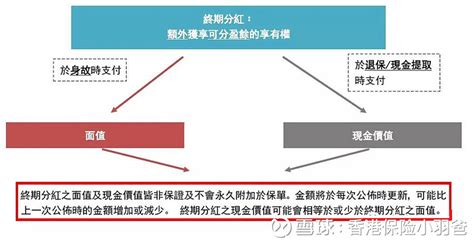 详解 充裕未来3 复归红利及终期分红 一、复归红利是什么二、终期分红是什么三、面值 Vs 现金价值四、「复归红利」及「周年红利」之比较五