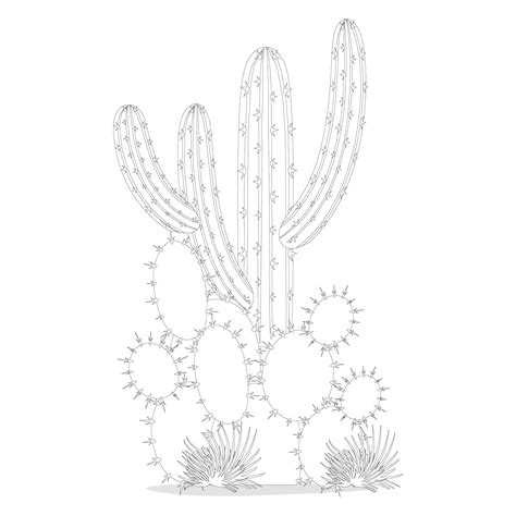 Desert Plants Coloring Pages