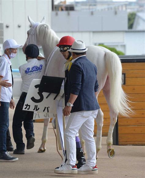 【函館5r・新馬戦】ソダシの半弟カルパ3着 須貝師「いいお勉強になった」 ライブドアニュース