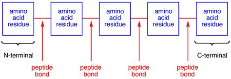 N Terminal Chemistry Libretexts