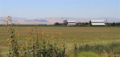 Central Valley Ag Groundwater Exchange