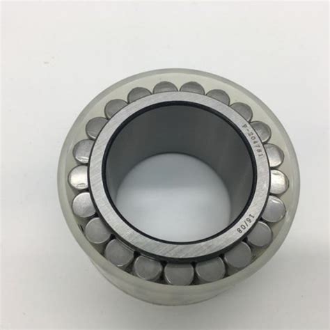 Chromium Steel Double Row Cylindrical Roller Bearings At Piece