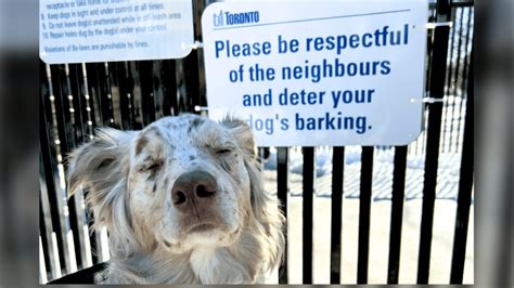 City Takes Down Excessive Barking Signs