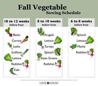 Fall Vegetable Garden Guide For An Abundant Harvest Lovetoknow