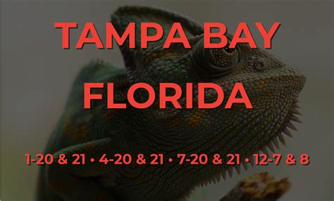 Florida Show Me Reptile Shows And Pet Expo Educational Reptile Events